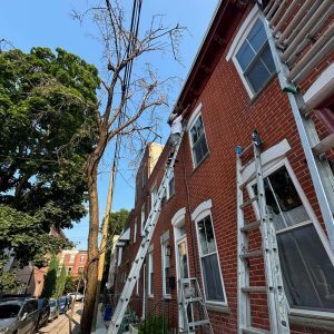 Magnificant Exterior Painting Services in Wilder Street, Philadelphia