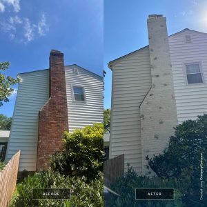 Premier Limewash Painting Project in Philadelphia, PA.